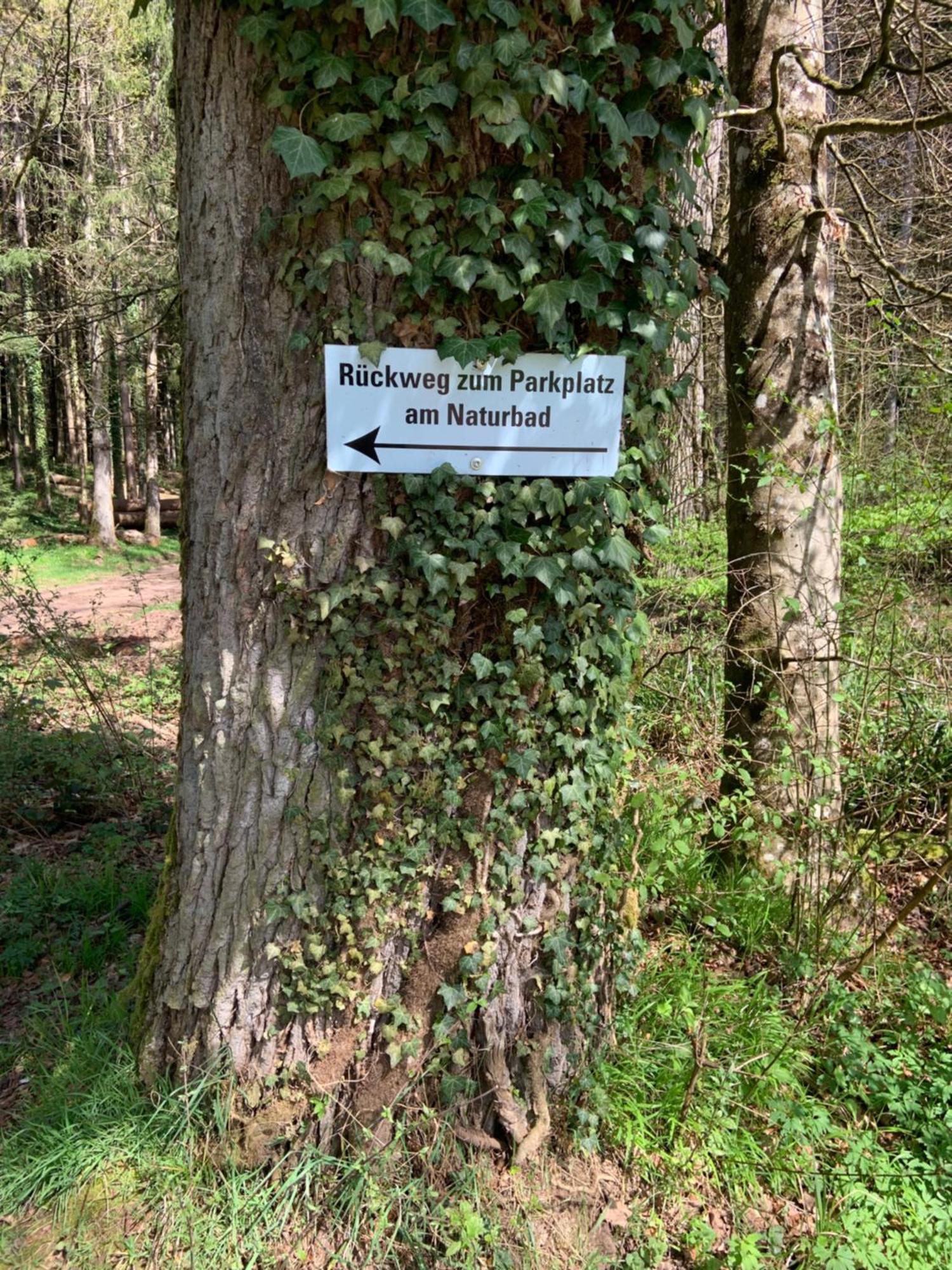 Appartement Sulzbachtal In Lahr, Naehe Europapark, Naehe Rulantica Lahr/Schwarzwald Extérieur photo